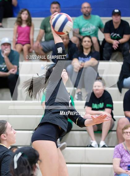 Thumbnail 2 in Basha @ O'Connor photogallery.