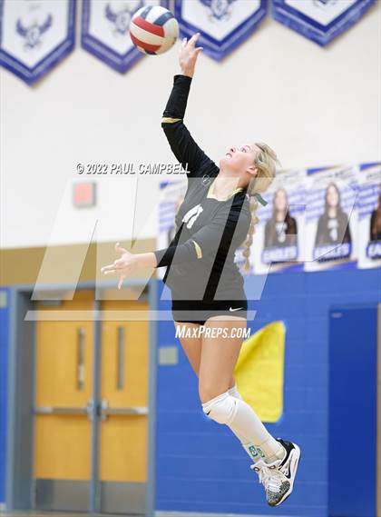 Thumbnail 1 in Basha @ O'Connor photogallery.