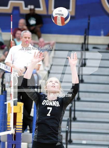 Thumbnail 1 in Basha @ O'Connor photogallery.