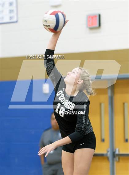 Thumbnail 1 in Basha @ O'Connor photogallery.