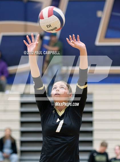 Thumbnail 2 in Basha @ O'Connor photogallery.
