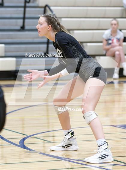 Thumbnail 1 in Basha @ O'Connor photogallery.