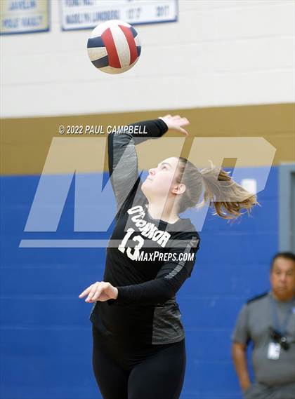 Thumbnail 2 in Basha @ O'Connor photogallery.
