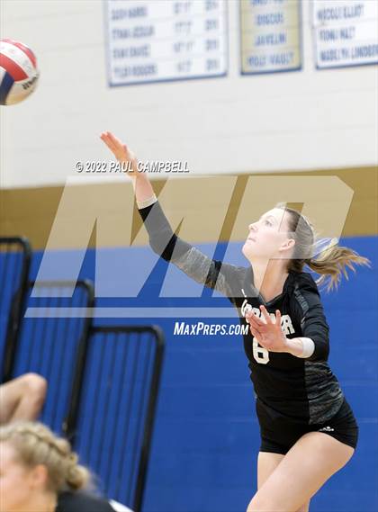 Thumbnail 1 in Basha @ O'Connor photogallery.