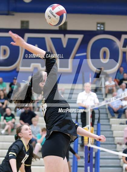 Thumbnail 2 in Basha @ O'Connor photogallery.