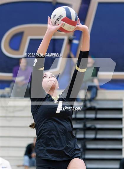 Thumbnail 3 in Basha @ O'Connor photogallery.