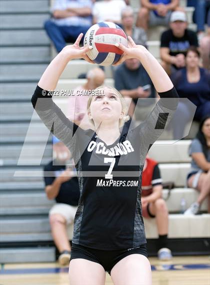 Thumbnail 2 in Basha @ O'Connor photogallery.
