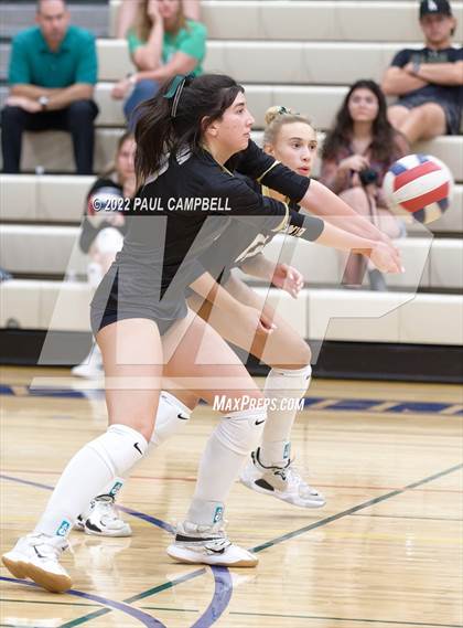Thumbnail 1 in Basha @ O'Connor photogallery.