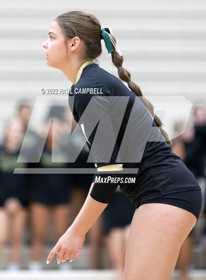 Thumbnail 2 in Basha @ O'Connor photogallery.