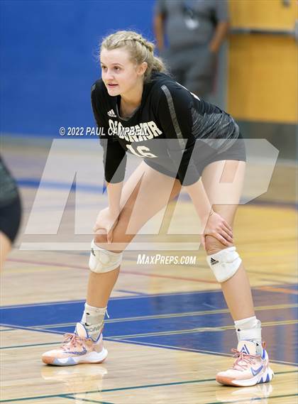 Thumbnail 3 in Basha @ O'Connor photogallery.