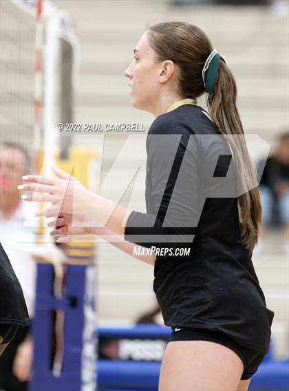 Thumbnail 1 in Basha @ O'Connor photogallery.