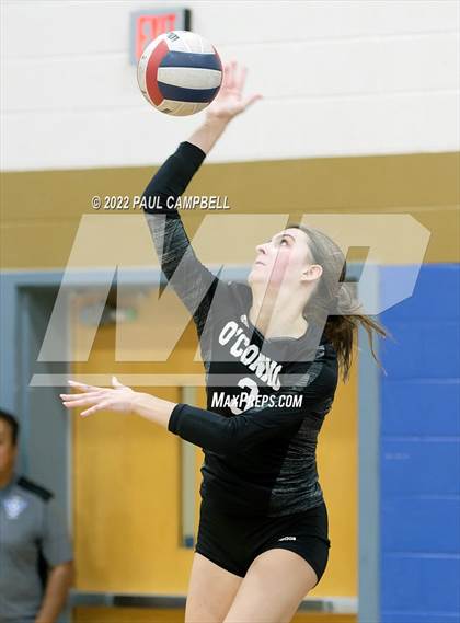 Thumbnail 3 in Basha @ O'Connor photogallery.