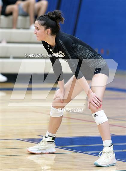 Thumbnail 3 in Basha @ O'Connor photogallery.