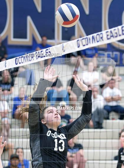 Thumbnail 1 in Basha @ O'Connor photogallery.