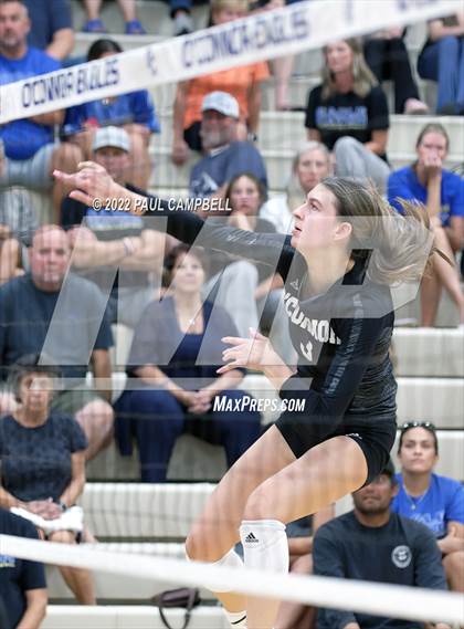 Thumbnail 2 in Basha @ O'Connor photogallery.