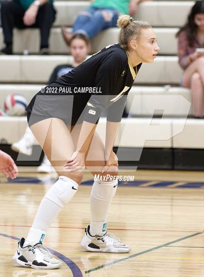 Thumbnail 1 in Basha @ O'Connor photogallery.