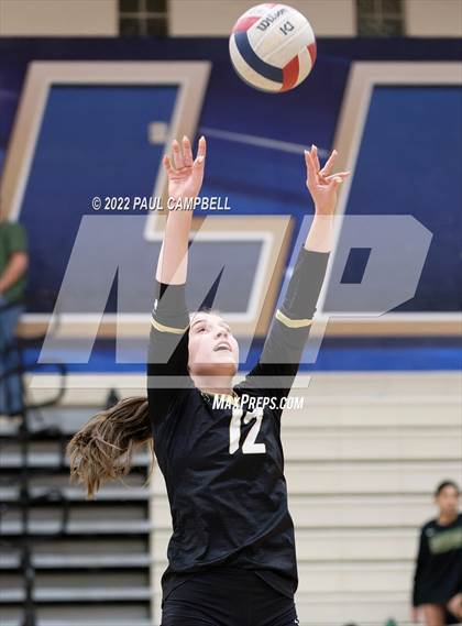 Thumbnail 1 in Basha @ O'Connor photogallery.