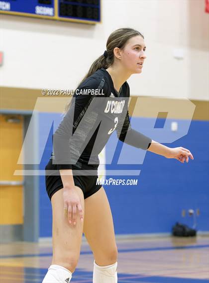 Thumbnail 1 in Basha @ O'Connor photogallery.