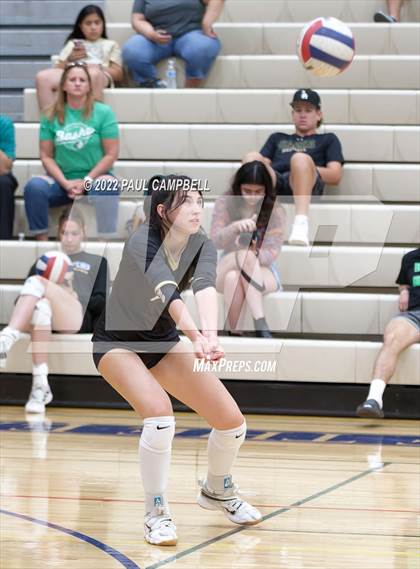 Thumbnail 3 in Basha @ O'Connor photogallery.