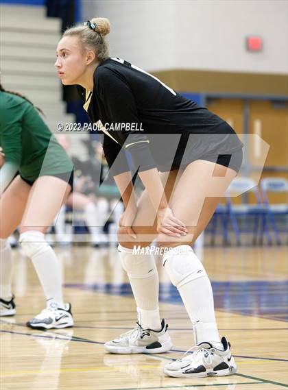 Thumbnail 1 in Basha @ O'Connor photogallery.