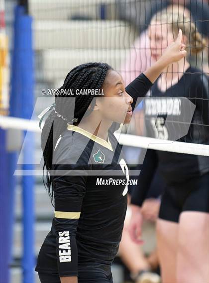 Thumbnail 2 in Basha @ O'Connor photogallery.