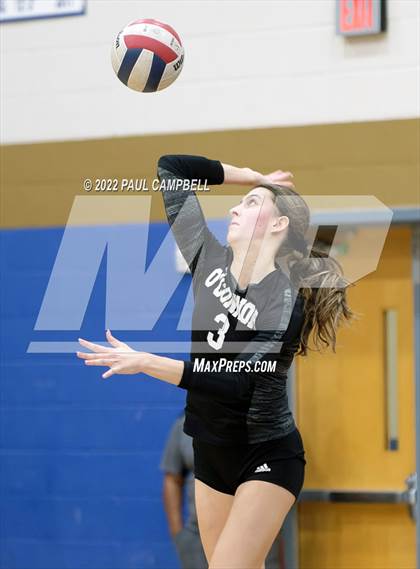 Thumbnail 3 in Basha @ O'Connor photogallery.
