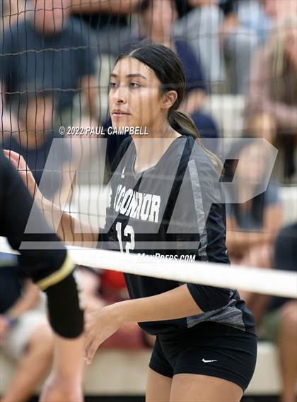 Thumbnail 3 in Basha @ O'Connor photogallery.