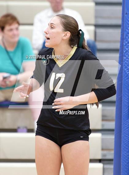 Thumbnail 1 in Basha @ O'Connor photogallery.