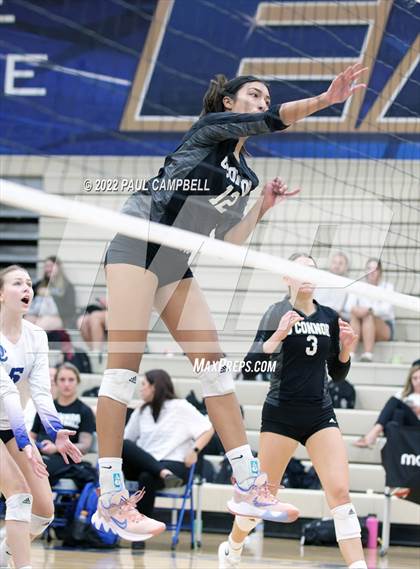 Thumbnail 2 in Basha @ O'Connor photogallery.