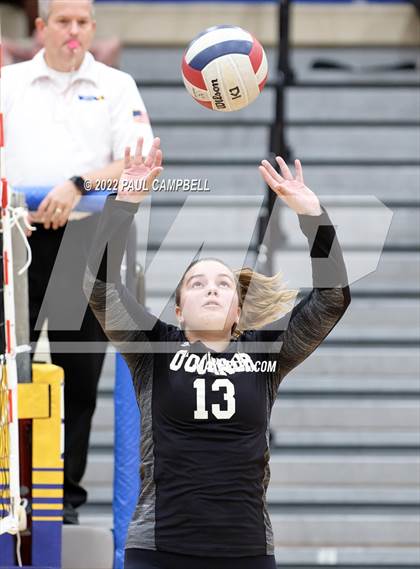 Thumbnail 2 in Basha @ O'Connor photogallery.