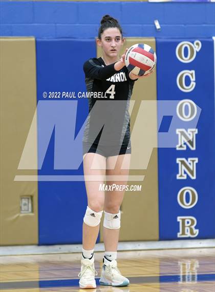 Thumbnail 1 in Basha @ O'Connor photogallery.