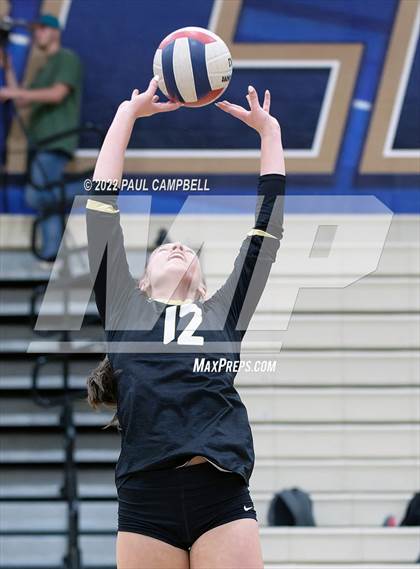Thumbnail 3 in Basha @ O'Connor photogallery.