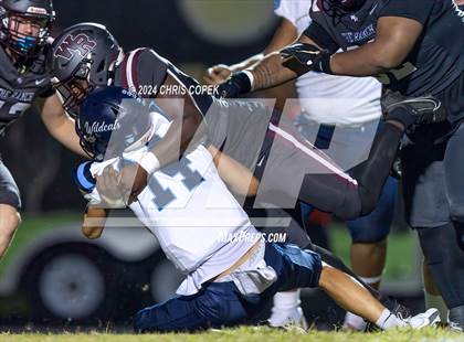 Thumbnail 3 in Wesley Chapel @ Wiregrass Ranch photogallery.