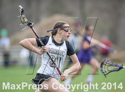 Thumbnail 1 in Westhill @ Joel Barlow photogallery.