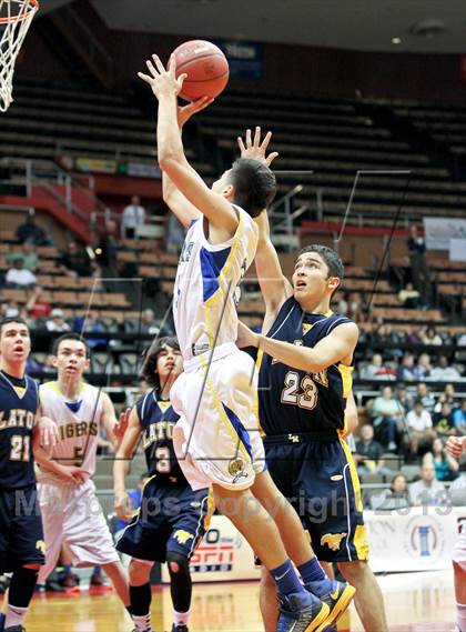Thumbnail 3 in Tranquillity vs. Laton (CIF CS D5 Final) photogallery.