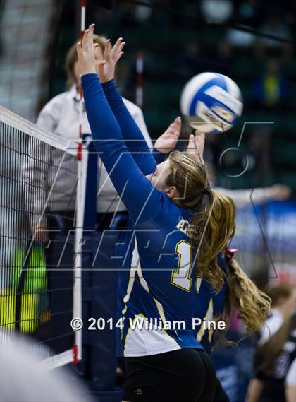 Thumbnail 1 in Ardsley vs.Williamsville South (NYSPHSAA Class B Pool Play) photogallery.