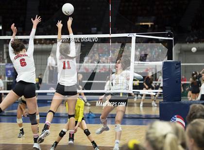 Thumbnail 2 in Rock Canyon vs. Coronado (CHSAA 5A Tie-Breaker) photogallery.