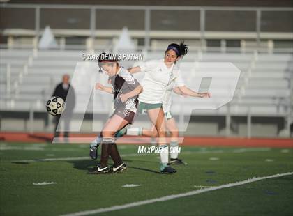 Thumbnail 1 in Saint Francis @ Homestead (CIF CCS D1 Quarterfinal) photogallery.
