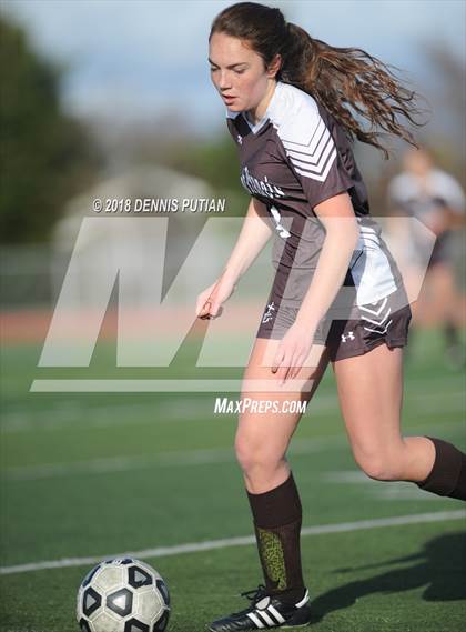 Thumbnail 3 in Saint Francis @ Homestead (CIF CCS D1 Quarterfinal) photogallery.