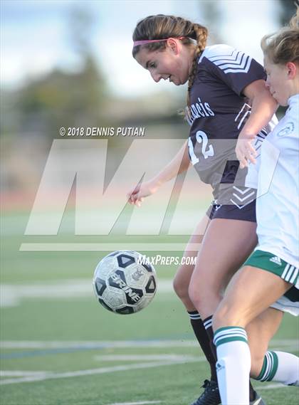 Thumbnail 1 in Saint Francis @ Homestead (CIF CCS D1 Quarterfinal) photogallery.