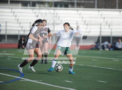 Thumbnail 2 in Saint Francis @ Homestead (CIF CCS D1 Quarterfinal) photogallery.