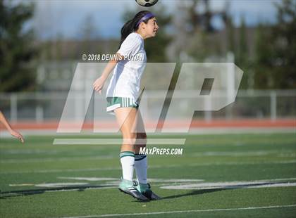 Thumbnail 1 in Saint Francis @ Homestead (CIF CCS D1 Quarterfinal) photogallery.