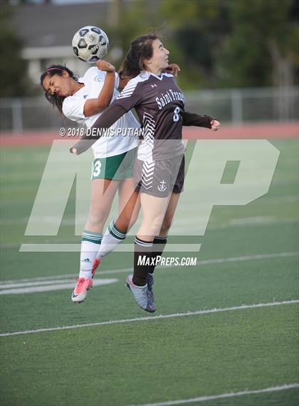 Thumbnail 3 in Saint Francis @ Homestead (CIF CCS D1 Quarterfinal) photogallery.