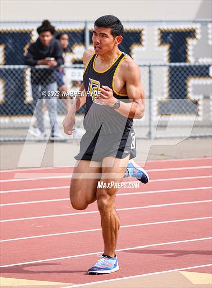 Thumbnail 1 in Herd Roundup @ Elk Grove photogallery.