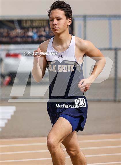 Thumbnail 3 in Herd Roundup @ Elk Grove photogallery.