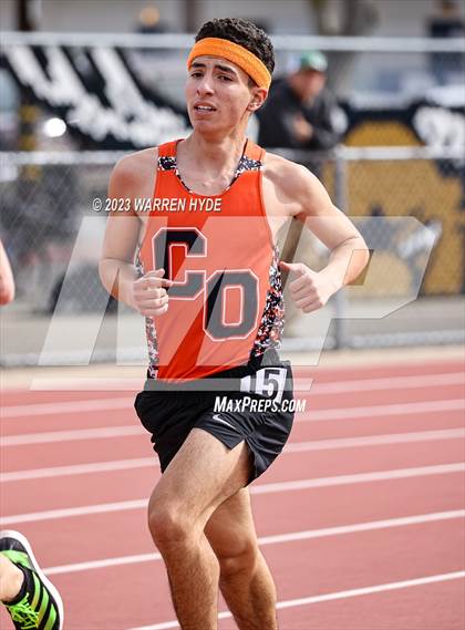 Thumbnail 2 in Herd Roundup @ Elk Grove photogallery.