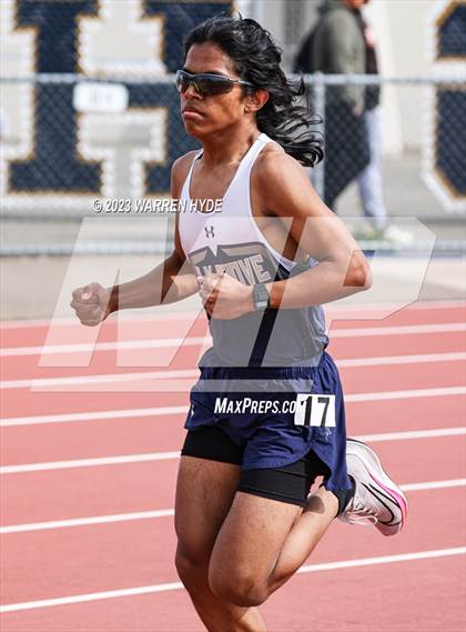 Thumbnail 3 in Herd Roundup @ Elk Grove photogallery.