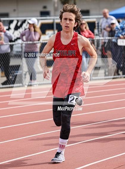 Thumbnail 3 in Herd Roundup @ Elk Grove photogallery.
