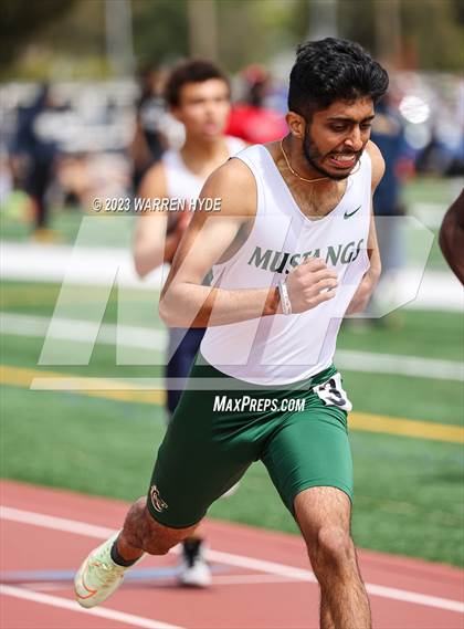 Thumbnail 1 in Herd Roundup @ Elk Grove photogallery.