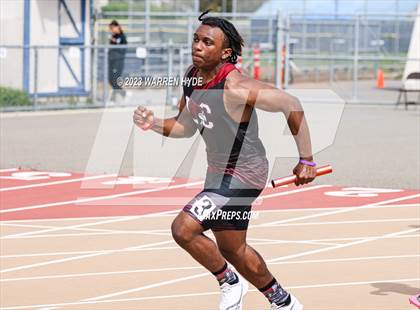 Thumbnail 3 in Herd Roundup @ Elk Grove photogallery.